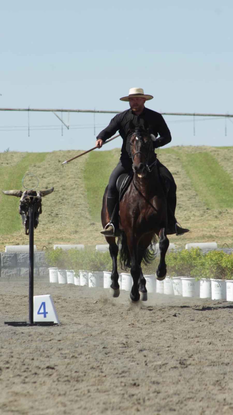Adam Olejniczak cantering a bay horse toward a Working Equitation obstacle carrying a garrocha pole