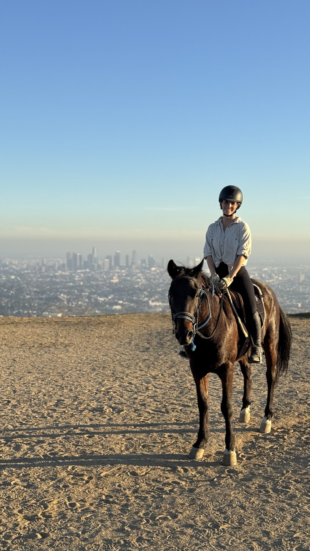 A rider on a bay horse on a ridge above the Los Angeles skyline